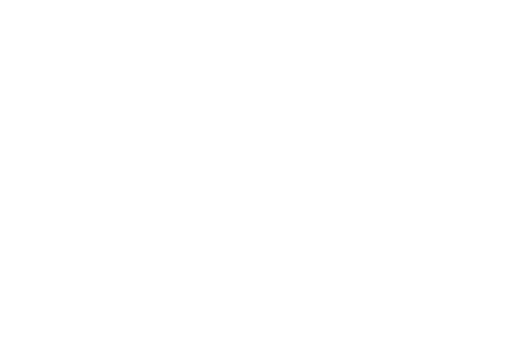 Official Selection Richmond International Film Festival 2026